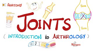 Joints  Anatomy amp Physiology [upl. by Essy670]