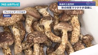 秋の味覚マツタケが店頭に 高畠町 [upl. by Marlane]