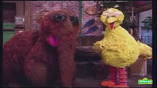 সিসিমপুর Sesame Street  Best Friends Bengali [upl. by Yddeg]