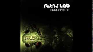 The Funk Lab  Endosphere [upl. by Schecter]