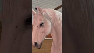 Star Stable Lipizzaner In Reality  SSO TikTok [upl. by Arakawa]