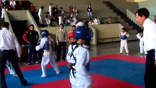 taekwondo combate niños 10 años [upl. by Redna]