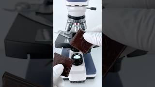 Chocolate under the microscope 🍫🔬 amazing facts experiment [upl. by Remoh]