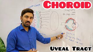 Anatomy and physiology of Uveal Tract  Choroid  Posterior Uvea [upl. by Nadeau]