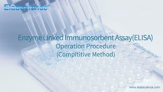 Enzyme Linked lmmunosorbent Assay ELISA Operation Procedure Compititive Method  Elabscience [upl. by Blatt]