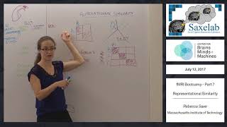 fMRI Bootcamp Part 7  Representational Similarity [upl. by Ona]