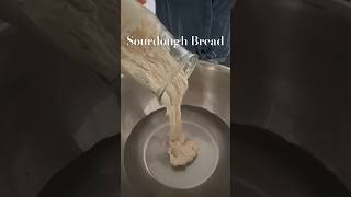 How to make sourdough bread sourdough [upl. by Itsyrk968]