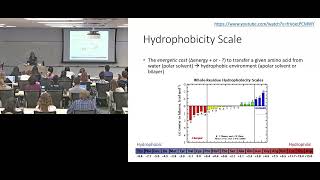 Hydrophobicity Scale Redux Better Plot Explanation [upl. by Amliw]