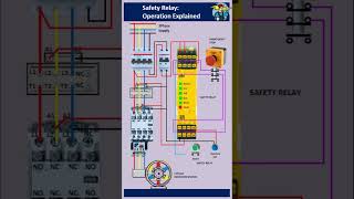 How to wire a Safety Relay  Safety Relay Working Principle  The Best Video to learn all about [upl. by Bravar765]