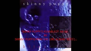 Skinny Puppy Vs Psyche  Assimilate with Eraserhead [upl. by Nowahs874]