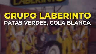 Grupo Laberinto  Patas Verdes Cola Blanca Audio Oficial [upl. by Anauqed]