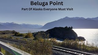 Beluga Point Was Awesome  Alaska [upl. by Eiryt]