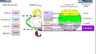 12 et 1318 La Zone de lAncrage de lADN Art 14 [upl. by Steele]