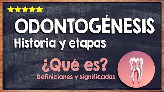 🙏 ¿Qué es la odontogénesis  Historia y etapas del proceso de odontogénesis 🙏 [upl. by Etnohc139]