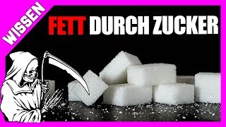 Fett durch Carbs  Kempner Rice Diet  schlimme Folgen von High Carb [upl. by Eelanaj466]