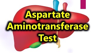 AST test  Aspartate aminotransferase test  liver function test [upl. by Stafford539]