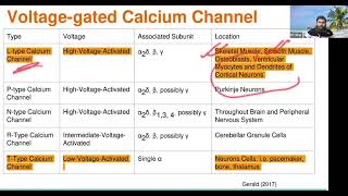 Confidently manage Hypertension HTN course  All about calcium channel blockers by Dr Sifat [upl. by Girard927]