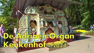 Street Organ De Adriaen at Keukenhof in the Netherlands  2024 [upl. by Nah704]