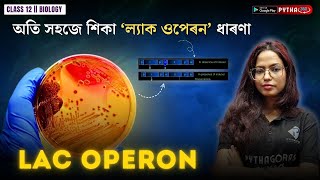 Lac Operon  Biology Class 12  AHSEC 202425 [upl. by Novyert]