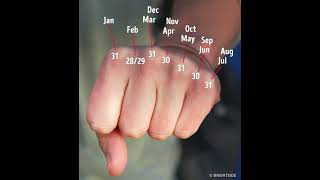 Hand Trick to find how many days does a month have like Jan 31 Feb 2829 Mar 31 etc shorts [upl. by Xanthus]