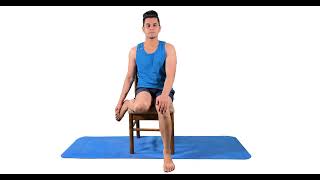 Passive eversion  ankle exercises [upl. by Trenna]