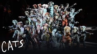 The Naming of the Cats  Cats the Musical [upl. by Cherianne629]