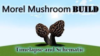 MinecraftMorel Mushroom Build timelapse amp schematic [upl. by Aneehsat]