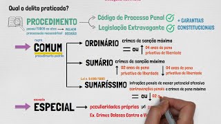 PROCESSO e PROCEDIMENTOS em PROCESSO PENAL  Aula 01  Disposições Gerais [upl. by Akeit178]