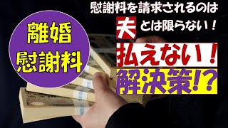 【離婚慰謝料】滞納したらどうなる請求額が払えないときの解決策は [upl. by Dorran723]