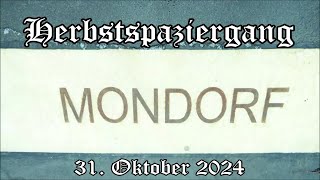 Niederkassel Mondorf Herbstspaziergang 31 Oktober 2024 [upl. by Ahsinert999]