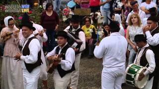 Madeira Traditional Folklore Groups  Folclore da Madeira Tradição Madeirense [upl. by Paolo55]