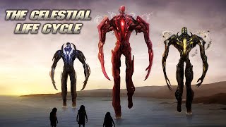 The Celestials Life Cycle amp Origin Explained [upl. by Lancey]