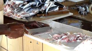 Filleting Flying Fish in Bridgetown Fishmarket Barbados [upl. by Deirdre]