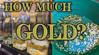 Extracting Gold From Gold Liqueur How Much Goldwasser  Goldschlager  Gold Flake Recovery [upl. by Nigel]