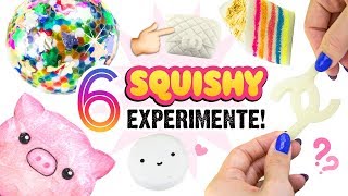 RIESEN SQUISHY EXPERIMENT 6 DIY SQUISHIES aus Silikon Papier Hitohada Gel Squishys Selbermachen [upl. by Valora]