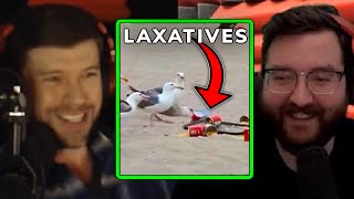 Seagulls on Laxatіves PRANK at the Beach VIDEO  PKA [upl. by Atsilac]