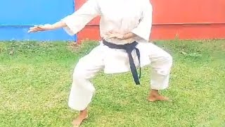 kata SANCHIN shitoryu karate do federation by fauzia malik🥋 [upl. by Acinomad]