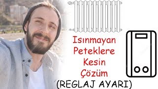 Isınmayan Peteklere Kesin Çözüm [upl. by Annaitsirk992]