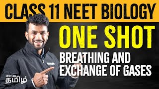 Breathing and Exchange of Gases  Class 11 Biology  ONE SHOT  Xylem NEET Tamil [upl. by Nacul]