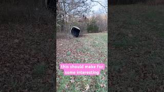 Blew my deer blind over [upl. by Nrojb333]