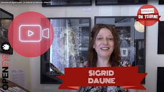 Interview de Sigrid Daune  Le Collectif du Hérisson  Arles 2021 [upl. by Delaine]