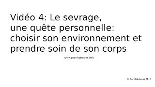 Vidéo 4 Le sevrage une quête personnelle lenvironnement et le corps [upl. by Marv]