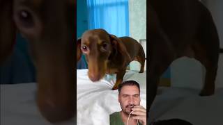 Köpek koldaki şekilleri sildi😂😂keşfet 1million [upl. by Tirrej670]