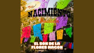 El Son De La Flores Magon [upl. by Trelu]