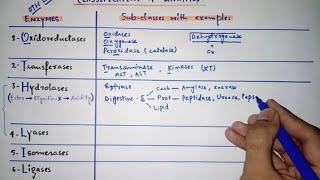 Enzyme classification with subclasses amp examples  Only in 5 minutes  Mnemonics [upl. by Omari]