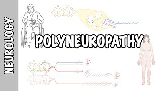 Approach to Polyneuropathy  causes pathophysiology investigations [upl. by Ebner]