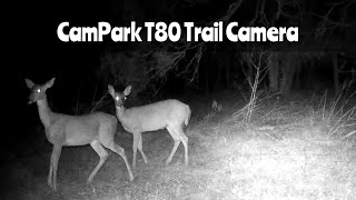 CamPark T80 Trail Camera Oct 520 2024 [upl. by Appilihp]