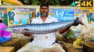 Ara kola fish cutting videofishcuttingrsfish kasimedu fishcuttingrs [upl. by Arvo337]