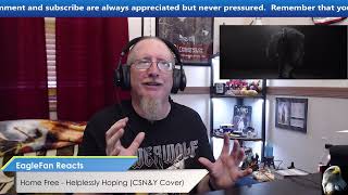 EagleFan Reacts to Helplessly Hoping Cover by Home Free  Amazing Voices [upl. by Gillian638]