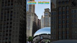 Chicago Downtown sovanskitchen chicago chicagodowntown shorts trendingshorts trending [upl. by Ecinaej]